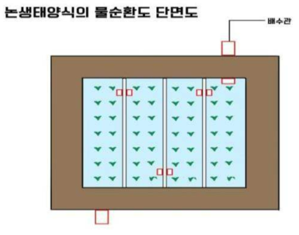 참게 논 생태양식의 물순환 단면도