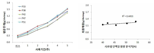 실험 치하 집단별 사육에 의한 단백질 함량별 체중변화(좌) 및 사료 내 단백질 함량과 성장의 상관 그래프(우)