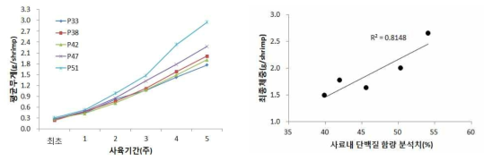 개체별 사육에 의한 단백질 함량별 체중변화(좌) 및 사료내 단백질 함량과 성장 상관그래프 (우)