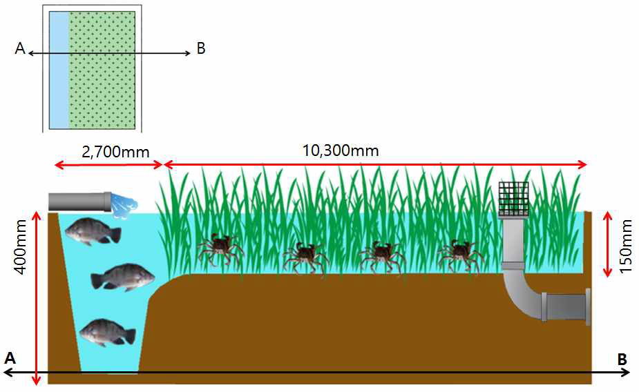 논 생태복합양식장에서 시스템 유형 1의 단면도