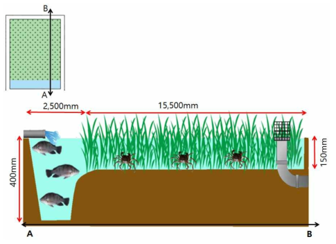 논 생태복합양식장에서 시스템 유형 2의 단면도