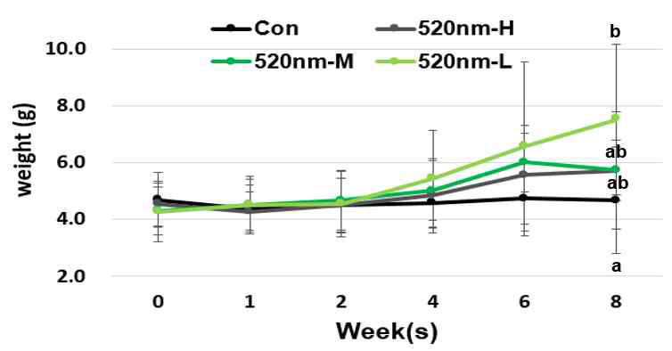 같은 파장 (520nm)조사에 따른 구간별 무게의 변화, 다른 알파벳은 통계학적으로 유의적인 변화를 의미함 (P<0.05)