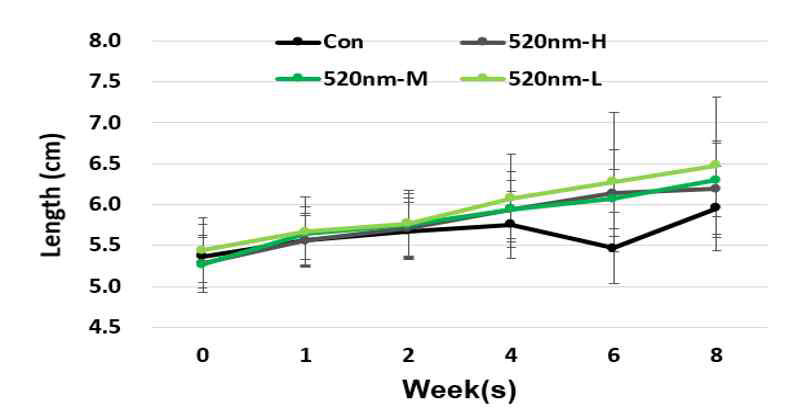 같은 파장 (520nm)조사에 따른 구간별 길이의 변화