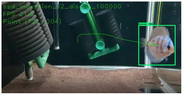 Tensorflow object detection API를 이용한 디스커스 개체군 tracking 화면