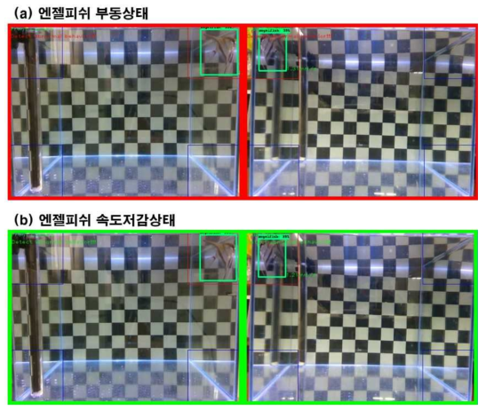 이상행동 분석 개발 진행 화면 (엔젤피쉬)