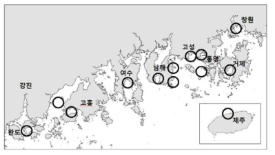 Carybdea brevipedalia와 Chrysaora pacifica 모니터링 해역