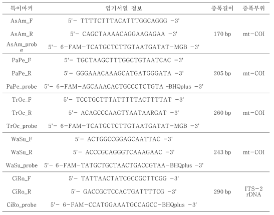 eDNA 분석을 위해 제작한 primer와 probe 정보