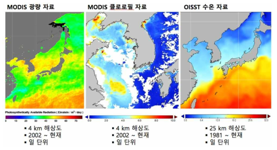 MODIS 광량 자료, MODIS 클로로필 자료, OISST 수온 자료