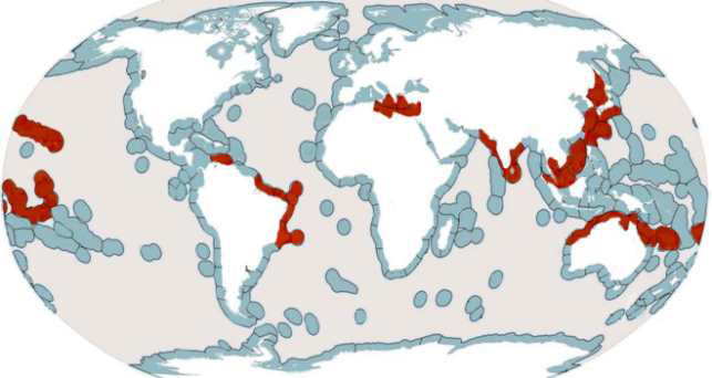 Ostreipsis ovata/O. cf. ovata 의 분포 생태지역 (ecoregions, 빨간색으로 표시)