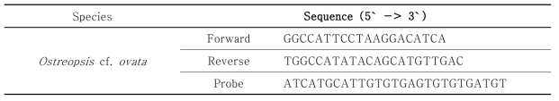 연구를 통해 제작된 Ostreopsis cf. ovata 의 Species specific primer & Probe 염기서열 (해양생태계 교란생물 제어 기술 개발 최종보고서, 2013)