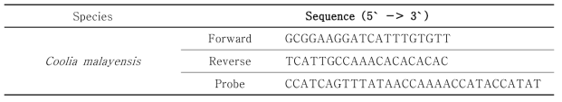 qPCR법 사용을 위한 Coolia malayensis의 프라이머 염기서열(Federico Perini et al. 2011)