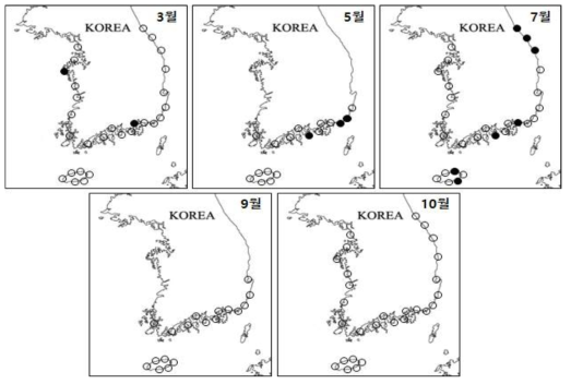 qPCR 분석을 바탕으로 국내연안 Luciella masanensis의 월별 분포