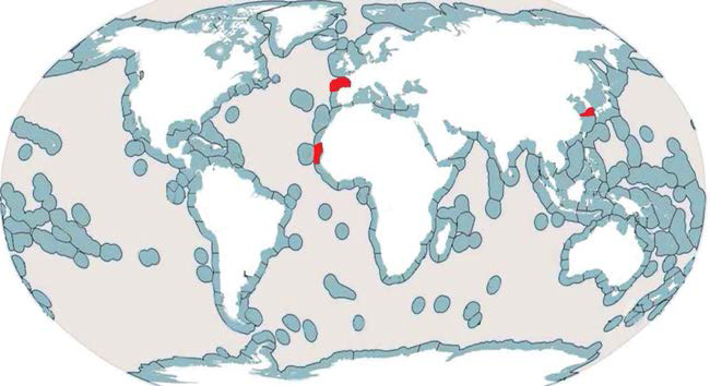 C. canariensis의 분포 생태지역 (ecoregions, 빨간색으로 표시)