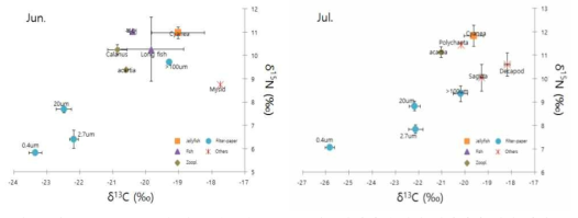 2016년 6월(왼쪽)과 7월(오른쪽) 탄도만에서 출현한 해파리와 예상 먹이원의 탄소와 질소 안정동위원소비