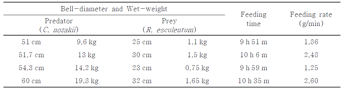 Cyanea nozakii 의 Rhopilema esculentum 섭식 소요시간