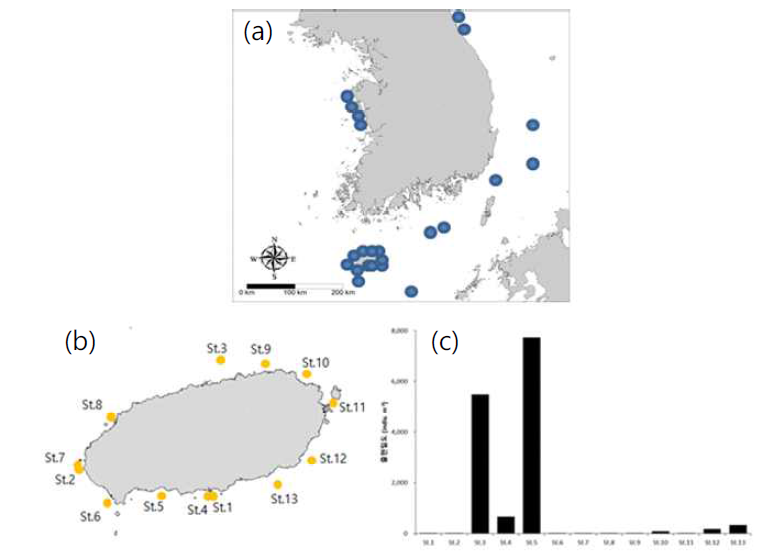 Salpa sp. 전체 출현정점(a), 2017년 제주 조사정점(b) 및 출현밀도(c) (2017년 7월)