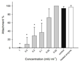 단백질효소에 의한 유생의 부착 억제 효과(Dobretsov et al. 2007)
