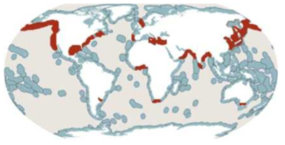 관히드라(E. crocea)의 세계 분포도