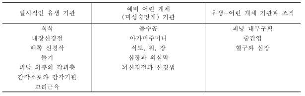 거친대추멍게속(Ascidiella)의 올챙이모양 유생의 구조(Cloney 1982)