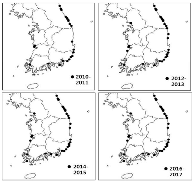 거친대추멍게(A. aspersa)의 확산