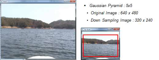 Down Sampling and ROI configuration