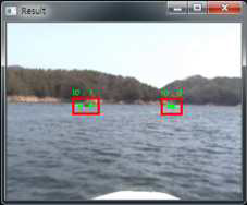 Results of the object detection and tracking