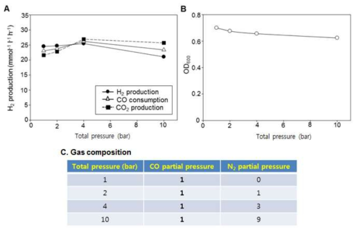 가스 조성 변화를 통한 압력 자체의 영향 관찰