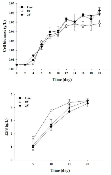 비타민 함량에 따른 (위) 세포 성장 및 (아래) 황화 다당류 생산성 변화