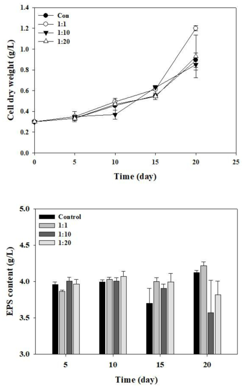 MEBiC 03485 접종 비율에 따른 P. cruentum의 (위) 세포 성장 및 (아래) 황화 다당류 생산성 변화