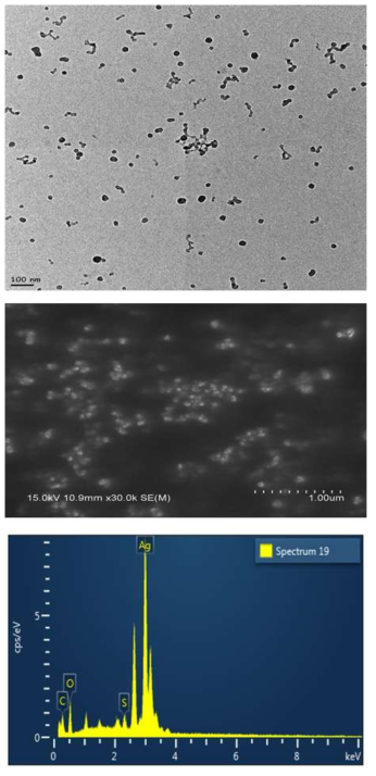 EPS와 EPS-AgNPs의 현미경 사진. (위) TEM image (중간) SEM image (아래) SEM-EDS 원소 분석