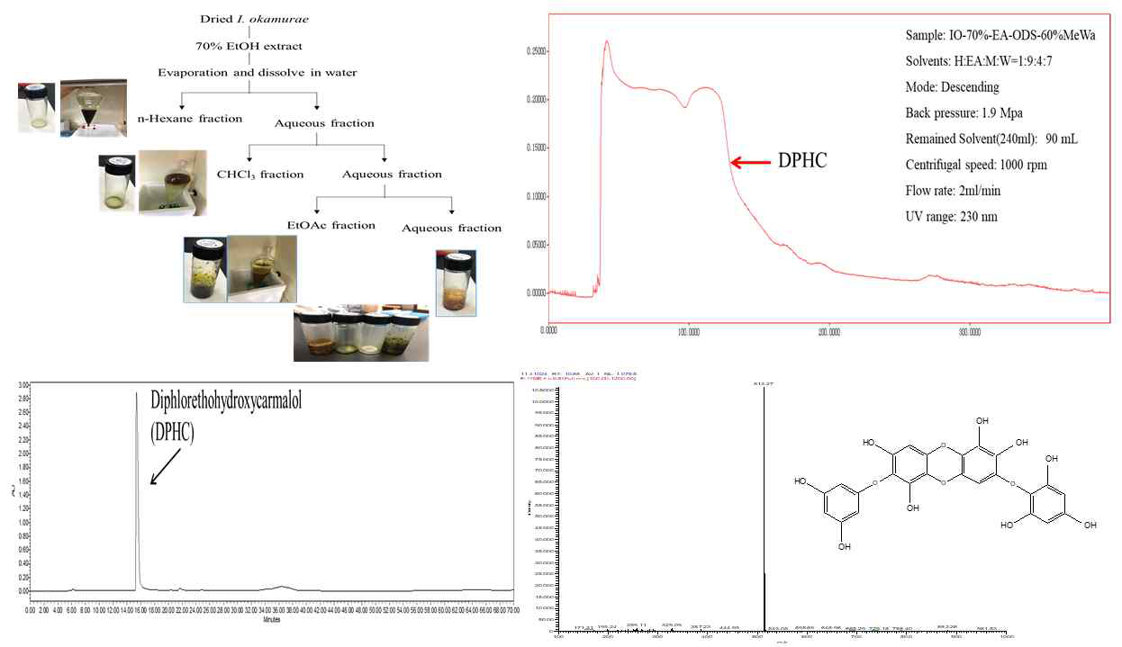 패 ethyl acetate 분획물에서 HPCPC를 이용한 효능성분인 DPHC의 분리 및 정제