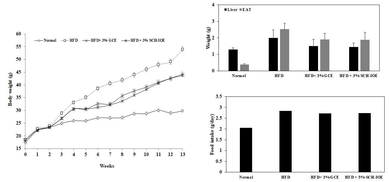 고지방 식이 유도 비만 동물모델에서 SCH-IOE의 체중 감소 효과 GCE: 가르시니아 캄보지아 추출물 (체지방 감소 고시형 원료)