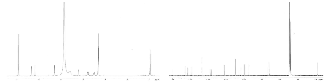 갯질경으로부터 분리된 myricetin-3-O-α-L-rhamnopyranoside (4)의 1H와 13C NMR spectrum