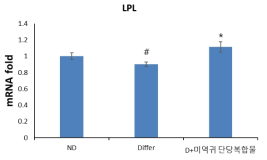지단백질 분해 효소 (LPL) 활성 증가 효과 # p<0.05 (Differentiation vs ND) * p<0.05 (미역귀 단당복합물 vs Differentiation)