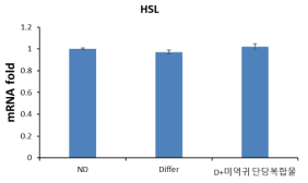 중성지방 분해효소 (HSL)의 발현량 변화