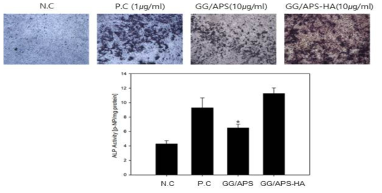 14일 동안 MC3T3-E1세포에서 GG/APS과 GG/APS-HA막의 ALP 활성