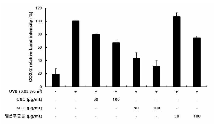 대조구와 CNC, MFC의 COX-2 발현억제 탐색