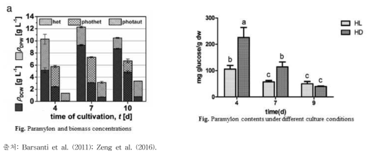 영양배양조건에 따른 파라밀론 함량 변화 비교