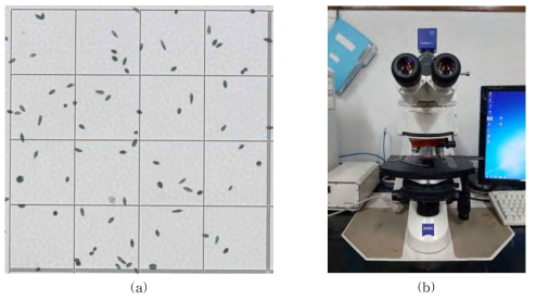 세포성장량 측정:(a) Hemocytometer를 이용한 cell counting사진, (b) 광학현미경