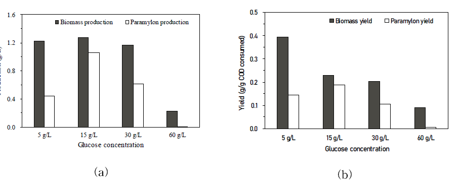 탄소원 농도에 따른 (a) 바이오매스 및 파라밀론 생산량, (b) 바이오매스 및 파라밀론 수율