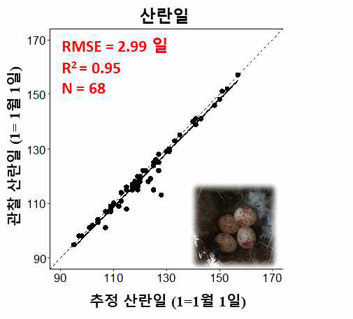 현장자료와 추정모형 간의 곤줄박이 산란일 비교