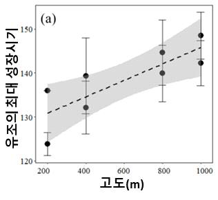 고도에 따른 곤줄박이 유조의 최대 성장시기 변화
