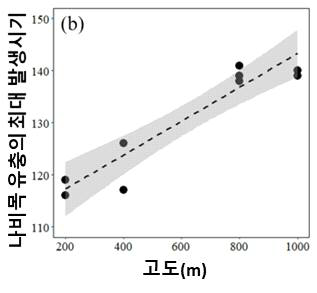 고도에 따른 나비목 유충의 최대 발생시기 변화