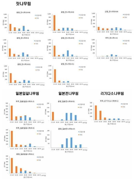 시험조림지 흉고직경급 분포