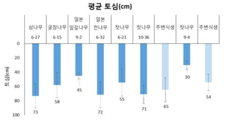 남부 지역(광양) 시험조림지 내 평균 토심(cm)