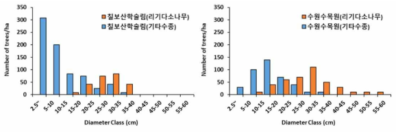 수원 지역(칠보산학술림, 수원수목원) 리기다소나무림의 흉고직경급 분포