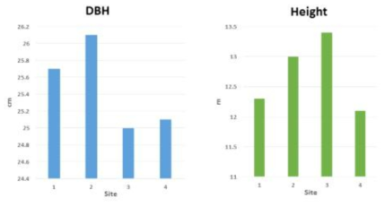 해발고 및 조사구에 따른 흉고직경(DBH)과 수고(Height) 변이