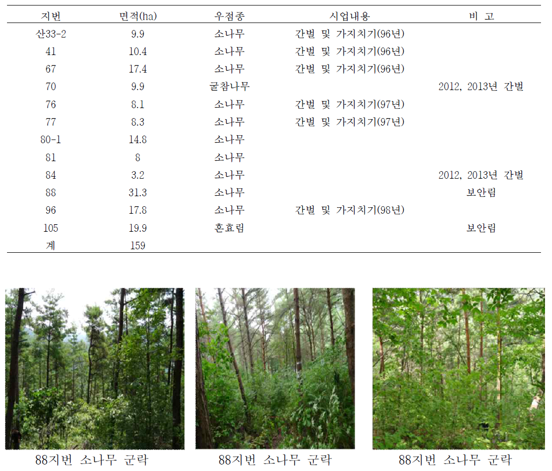 국민대학교 안동학술림 교육실습지 현황 및 전경