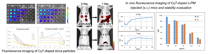 형광 표지인자가 도입된 실리카입자를 생체 형광 분석 결과