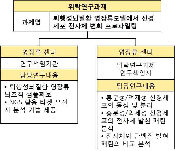 퇴행성뇌질환 영장류 모델에서 신경세포 전사체 변화 프로파일링을 위한 추진체계 및 담당연구내용의 모식도